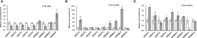 Genome-wide identification of the GT7 and GH16 genes and their correlations with agar metabolism in the agarophyte Gracilariopsis lemaneiformis